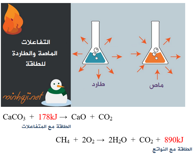 التفاعلات الماصة والطاردة للطاقة